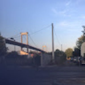 Meet your Posher, Poppy